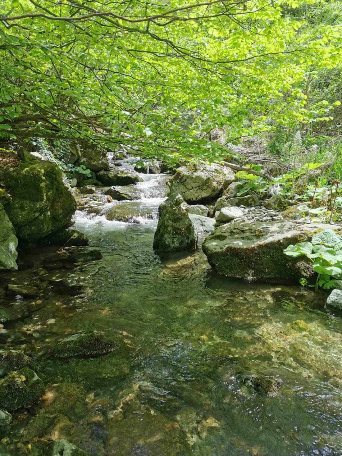 Bed and Breakfast Std Cvetkovic Crni Vrh Екстер'єр фото